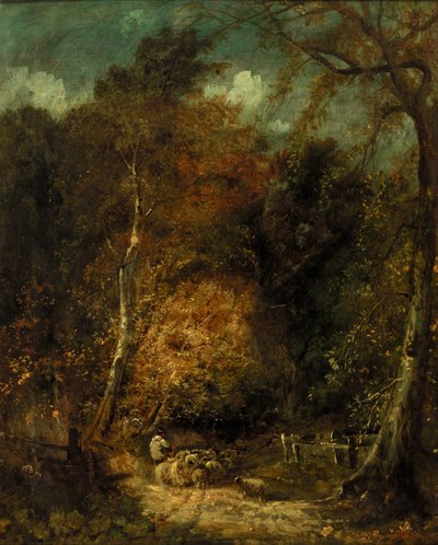 Paesaggio boscoso da David Cox